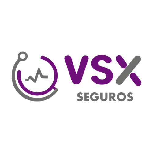 Grupo VSX